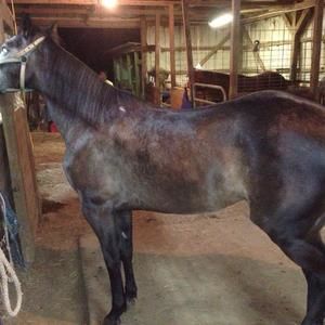 Meet your Posher, Jacob